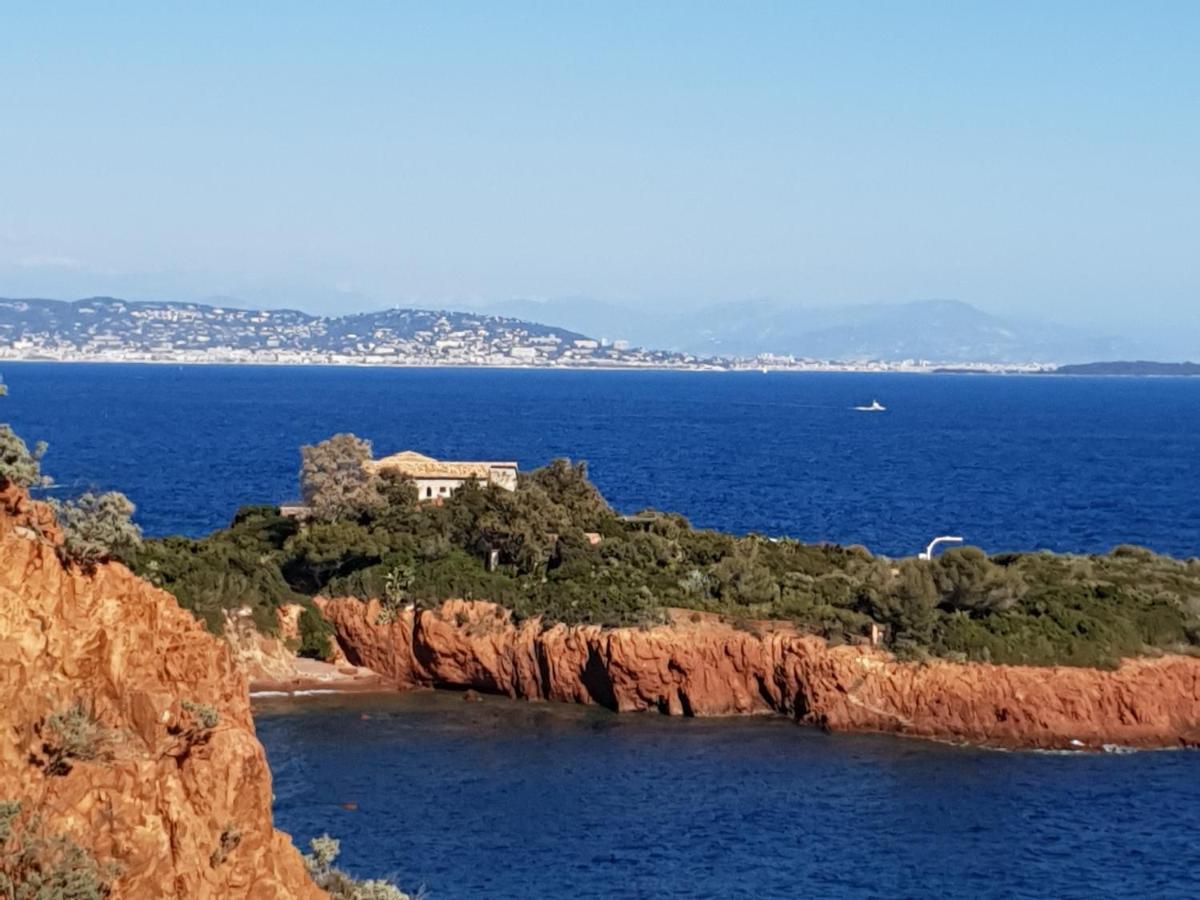 Frejus Plage T2, Piscine, Parking, Plages A 200M Bagian luar foto