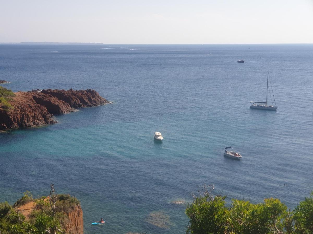 Frejus Plage T2, Piscine, Parking, Plages A 200M Bagian luar foto